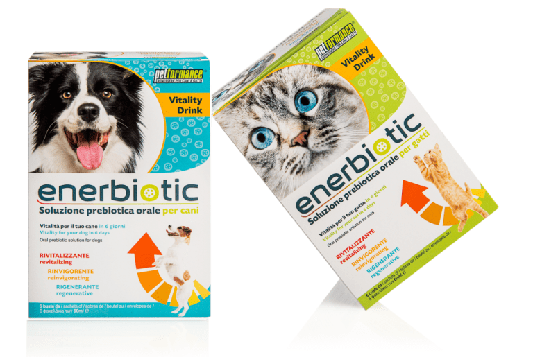 Enerbiotic cat a dog