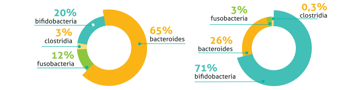 studie enerbiotic